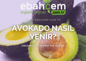 Avokado Nasıl Yenir?