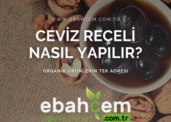 Ceviz Reçeli Nasıl Yapılır?