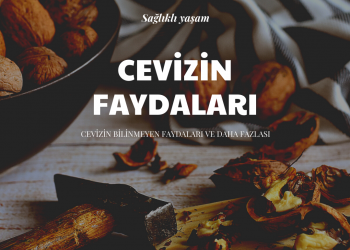 Cevizin Faydaları Nelerdir?