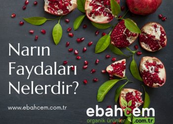 Narın Faydaları Nelerdir?